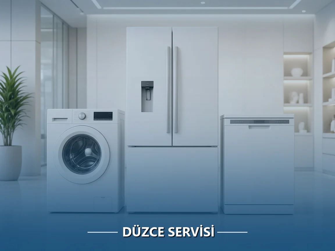 Düzce Servisi